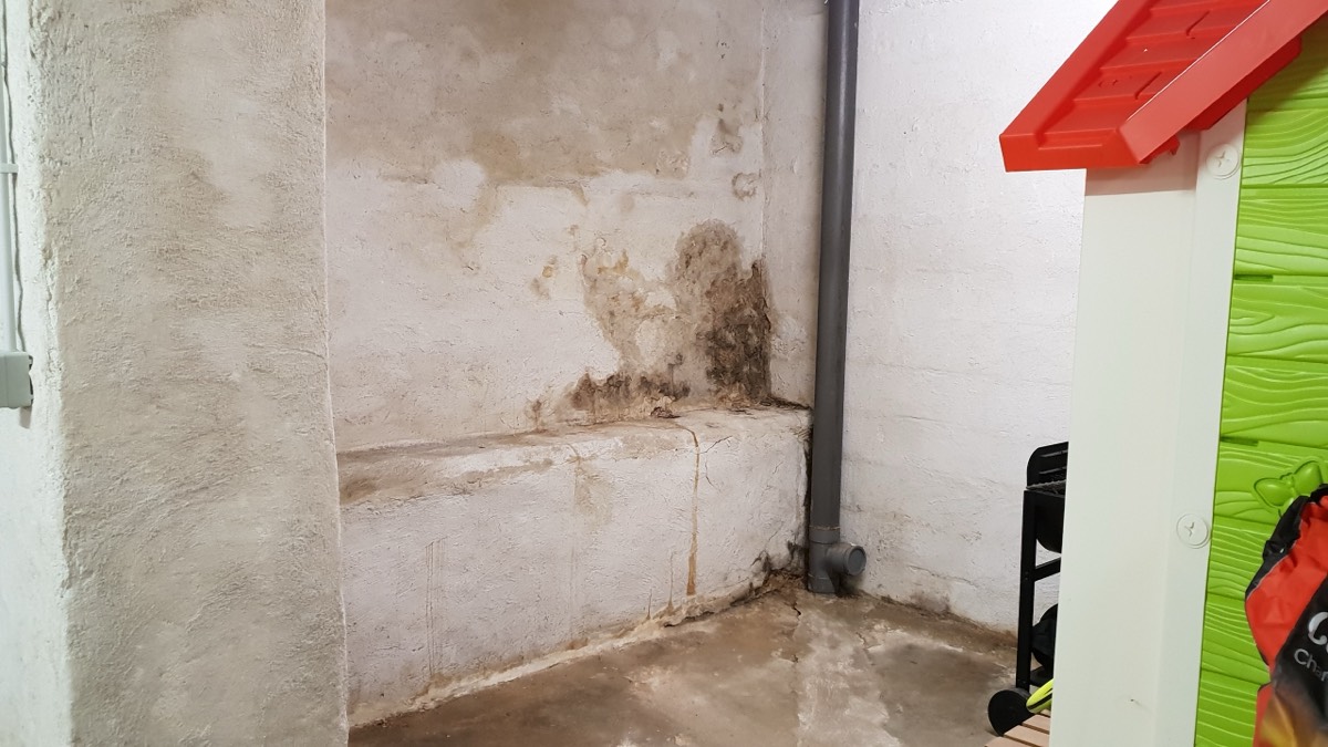 Infiltrations d'eau - Expertise humidité à Rouen